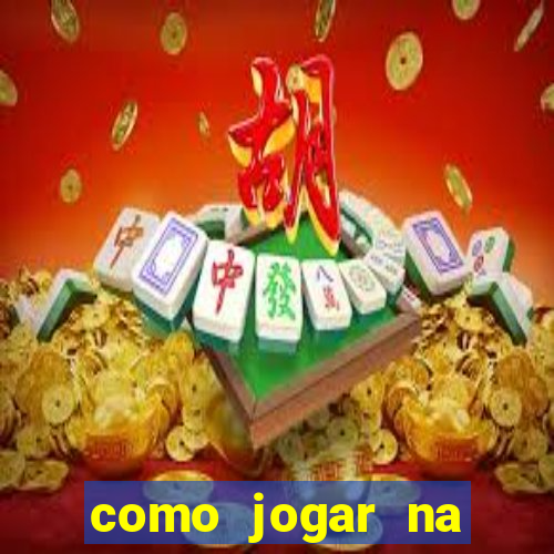 como jogar na lotinha do jogo do bicho